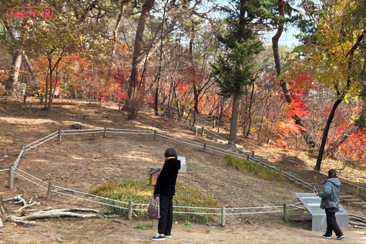 계단을 올라 홍릉터를 방문했다. ⓒ김미선