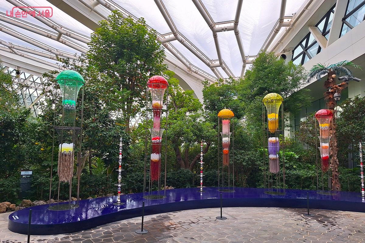 인공적인 플라스틱 공들이 투명한 유리관을 가득 채우며, 마치 빛을 머금은 거대한 씨앗이나 알록달록한 해파리처럼 생명체에 대한 현대적 해석을 제시한다. ©정향선