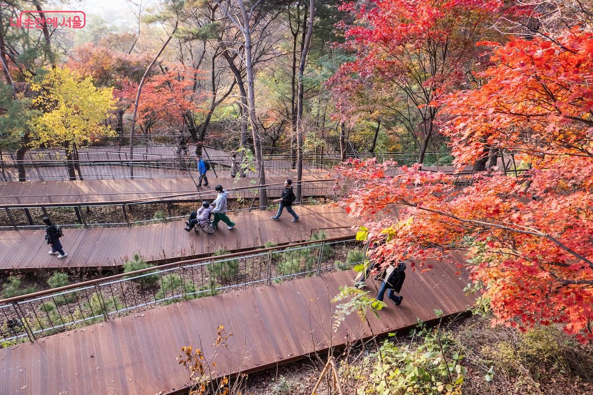 누구나 완만한 경사의 데크길을 따라 걸으며 가을 풍경을 감상할 수 있다. &copy;이진형