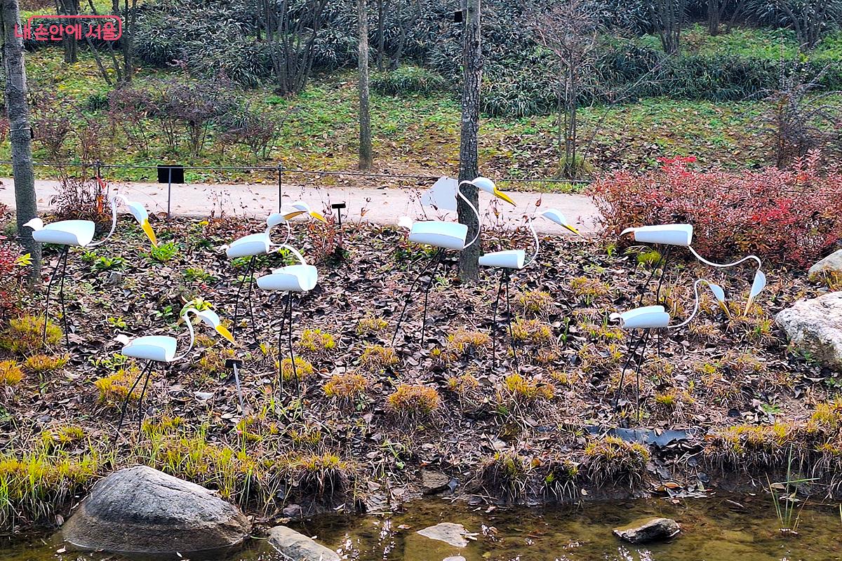  ‘오늘의 정원’은 현재의 순간과 자연이 어우러져 빚어내는 생명력과 풍요로움을 상징한다. ©정향선
