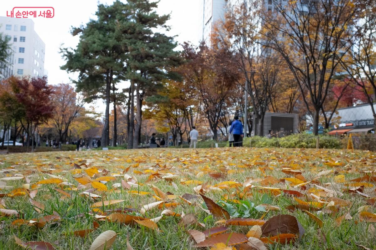 경의선숲길의 가을 풍경을 감상하며 걷는 시민들 &copy;이진형