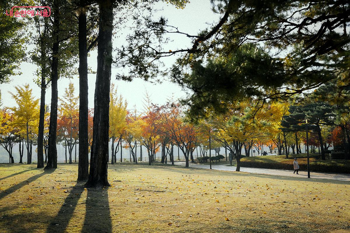 가을빛으로 물든 선유도공원의 오후 풍경 &copy;김아름