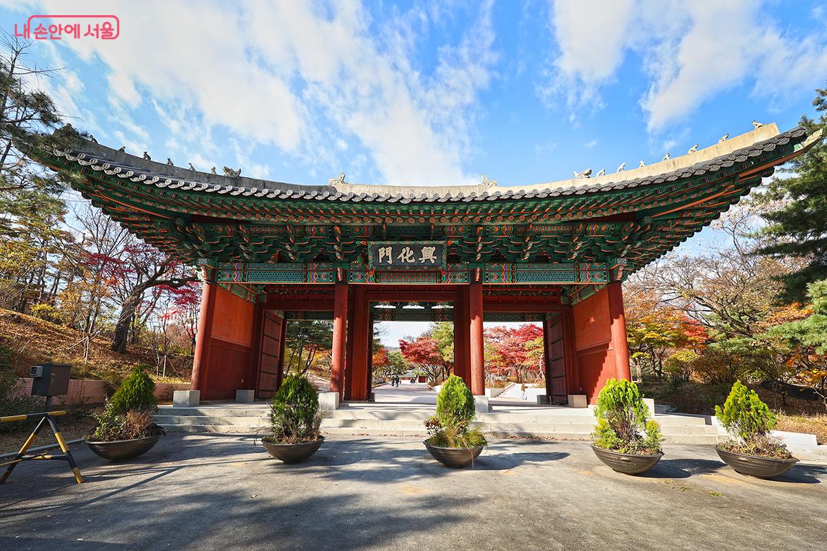 늦가을의 정취가 가득한 홍화문 풍경 ©김주연