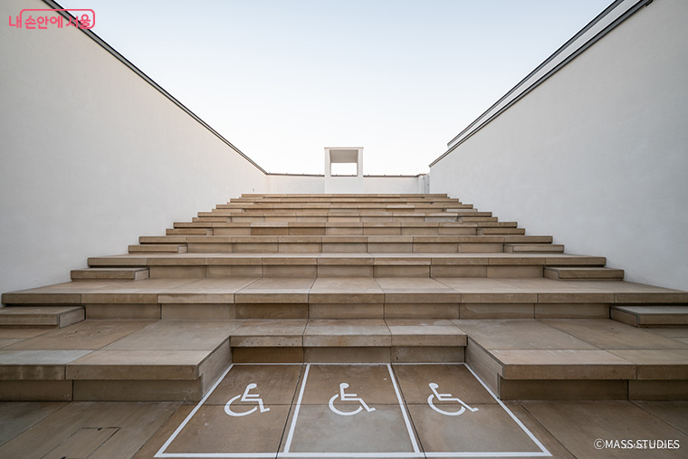 브로콜리 지역정보 관련 사진 7