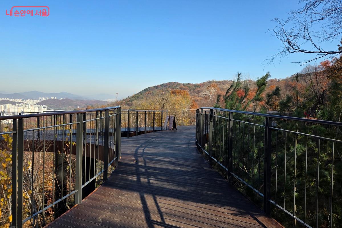 하늘을 걷는 것 같은 기분을 느끼게 만들어 주고 있었다. ©김미선