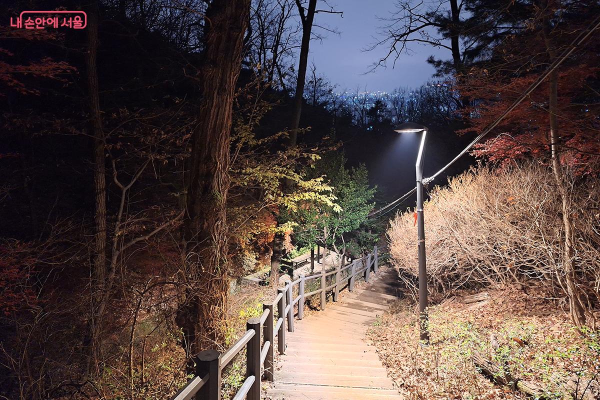 전등이 잘 조성되어 있는 용마산 등산길은 야간 산행에 안성맞춤이다. ©백승훈