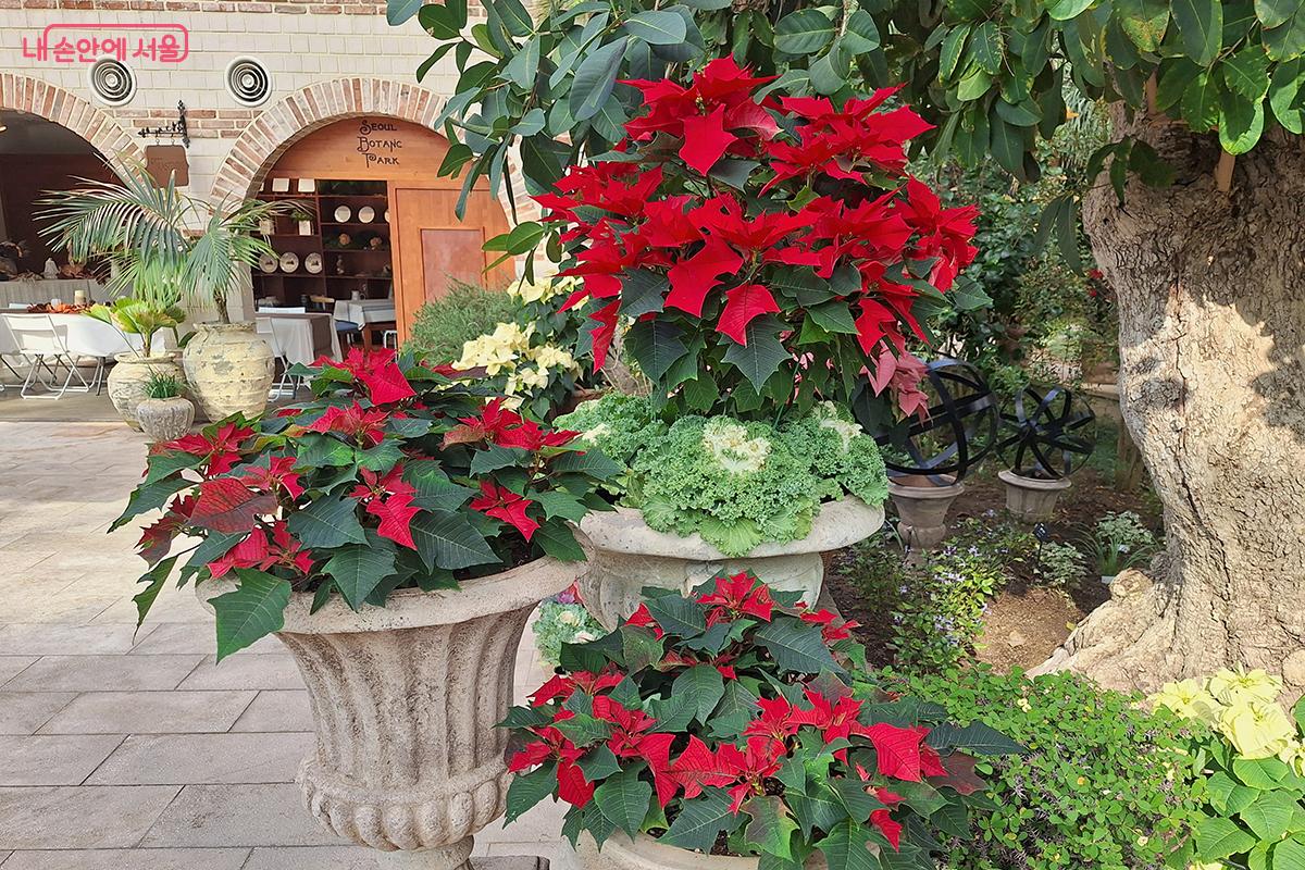 로마 이태리, 전통과 자연이 어우러져 잔잔한 품격과 고요한 아름다움을 선사하는 공간임을 강조한다. ©정향선