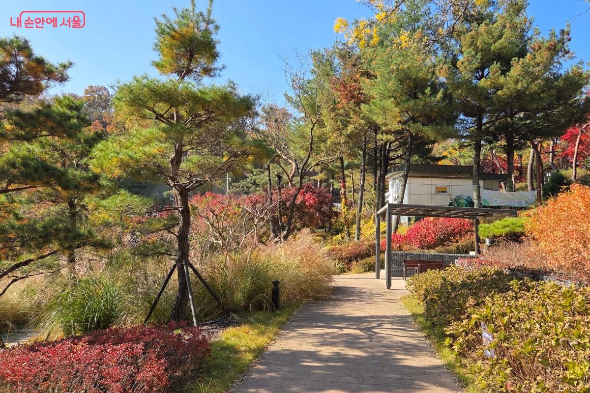 아차산 어울림정원은 사이사이 걸어 다닐 수 있는 길로 조성됐다. &copy;김미선