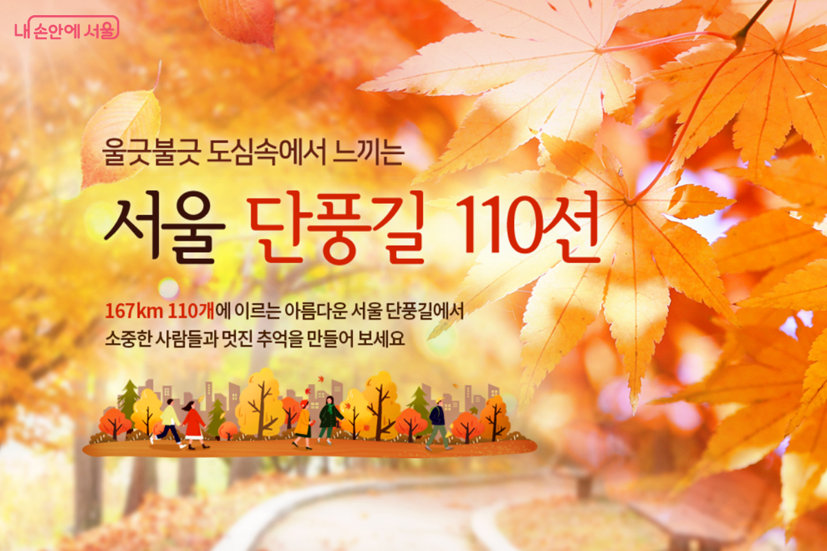 2025 서울 단풍길은 작년 103개 노선에 7개 노선이 추가된 110의 단풍명소가 선정되었다.  ©서울시