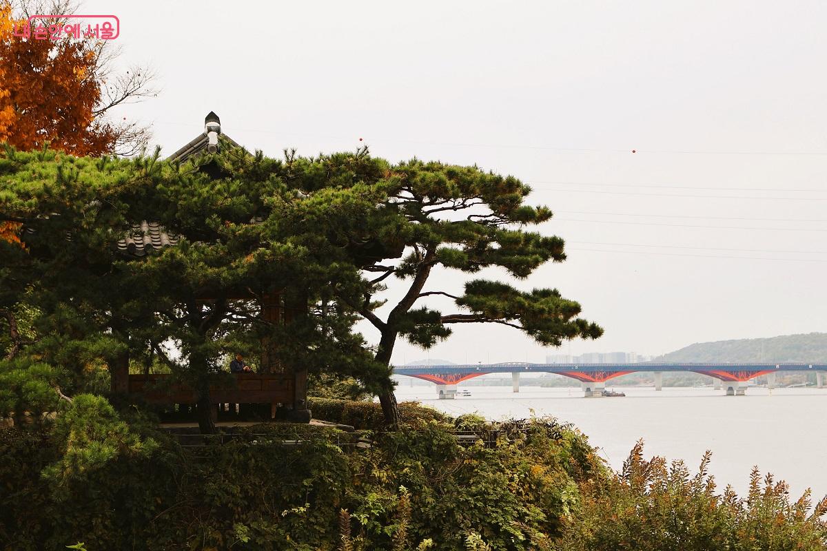 소나무숲에 자리한 선인들의 풍류를 느낄 수 있는 선유정 &copy;이봉덕