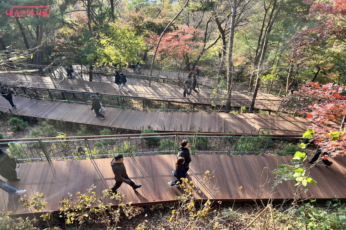완만한 경사로로 되어 있어 걷기 편하다. ©박지영 