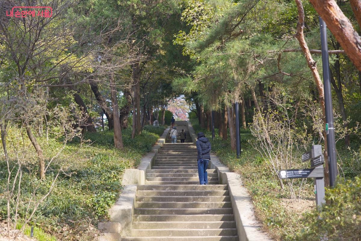 남산도서관, 한양도성유적전시관 등 숲길 주변에 다양한 명소가 포진되어 있다. &copy;임중빈