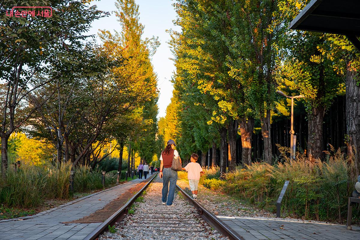 1939년 개통 후 성동역에서 춘천역까지 93.5km를 달렸던 경춘선 ©문청야