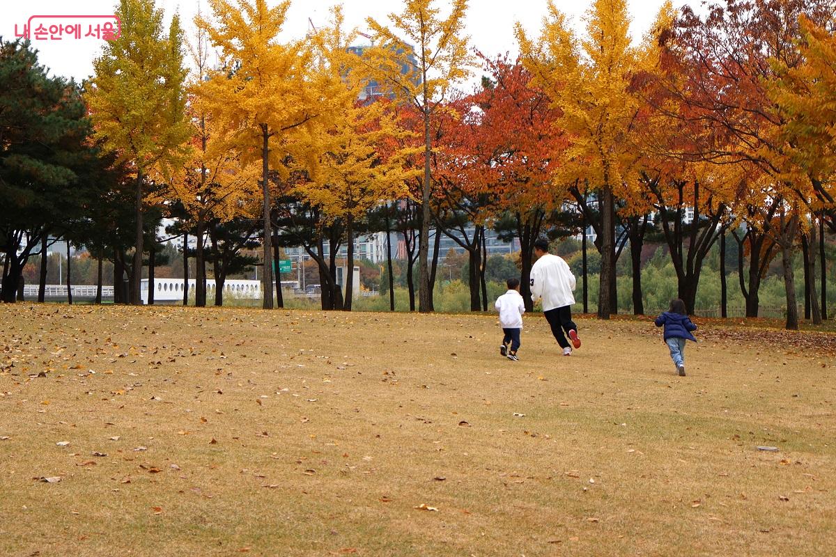 널따란 잔디마당에서 신나게 뛰놀고 있는 가족 &copy;이봉덕
