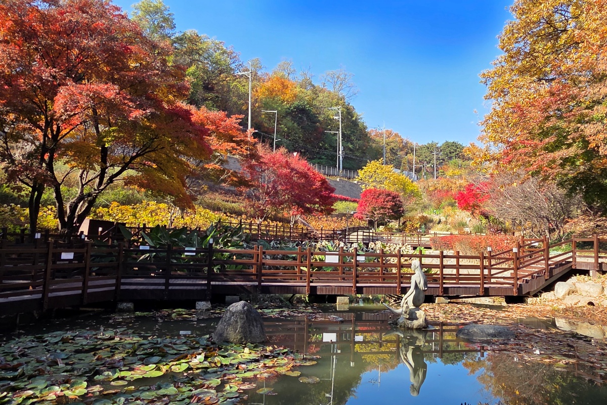 아차산에서 보낸 가을 하루! 정원 감상·책쉼터 독서·여가센터 체험까지