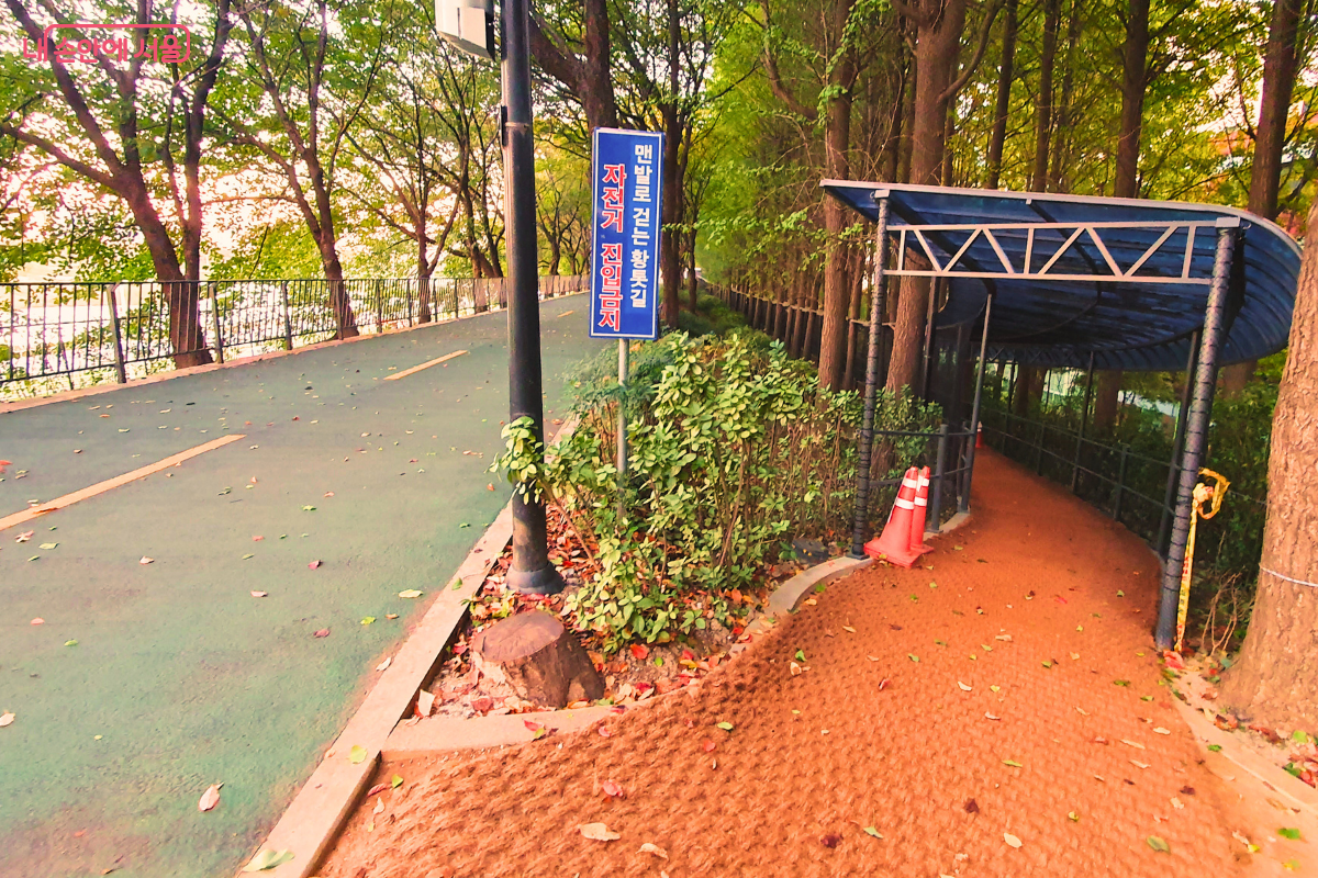 건강과 걷는 재미를 더해주는 송정제방길 맨발 황톳길 ©양정화