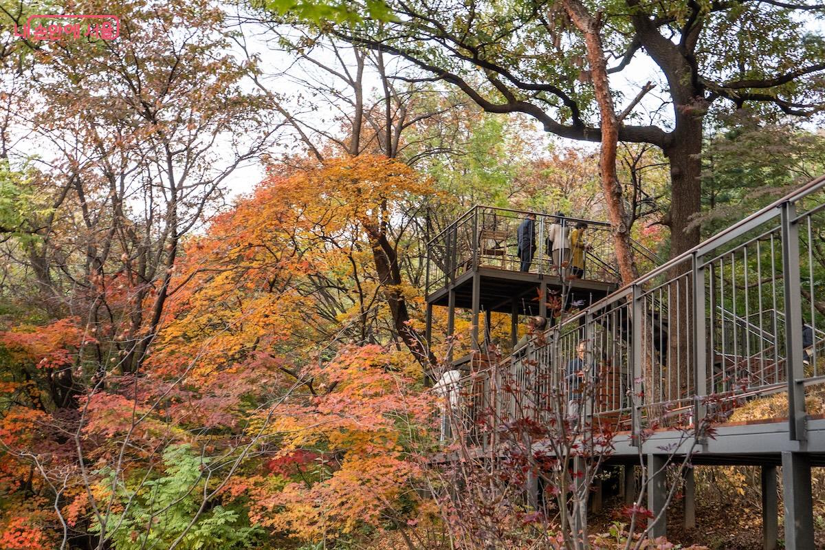 참나무전망대 주변 풍경도 제법 근사하다. &copy;이진형