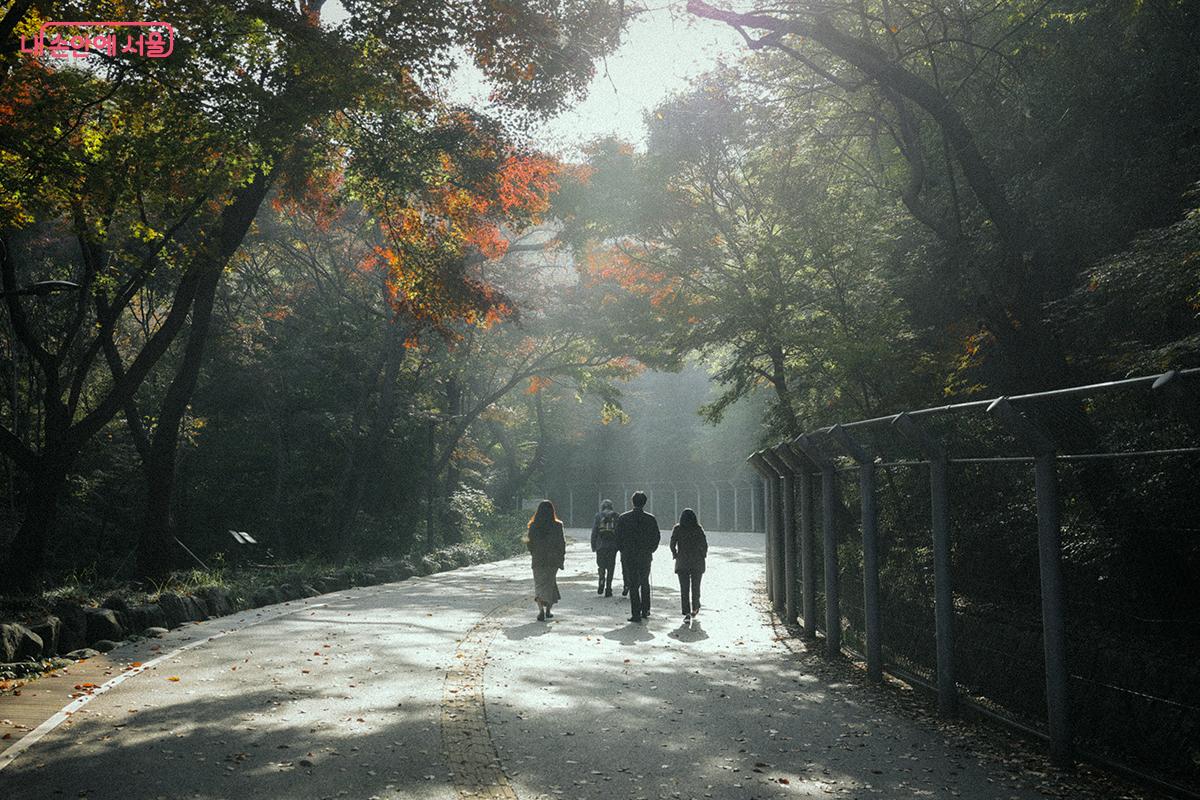 남산공원길의 가을 풍경. 이 길을 조금만 걸어가면 남산 '북측숲길'을 만날 수 있다. ©김아름