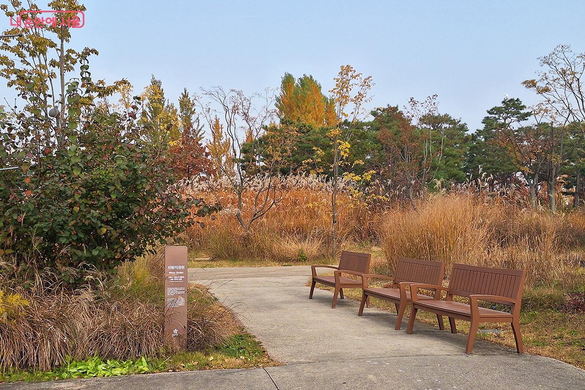 특별한 이야기로 피어난 주제정원, 자연과 감성이 어우러져 마음을 환하게 비춘다. ©정향선