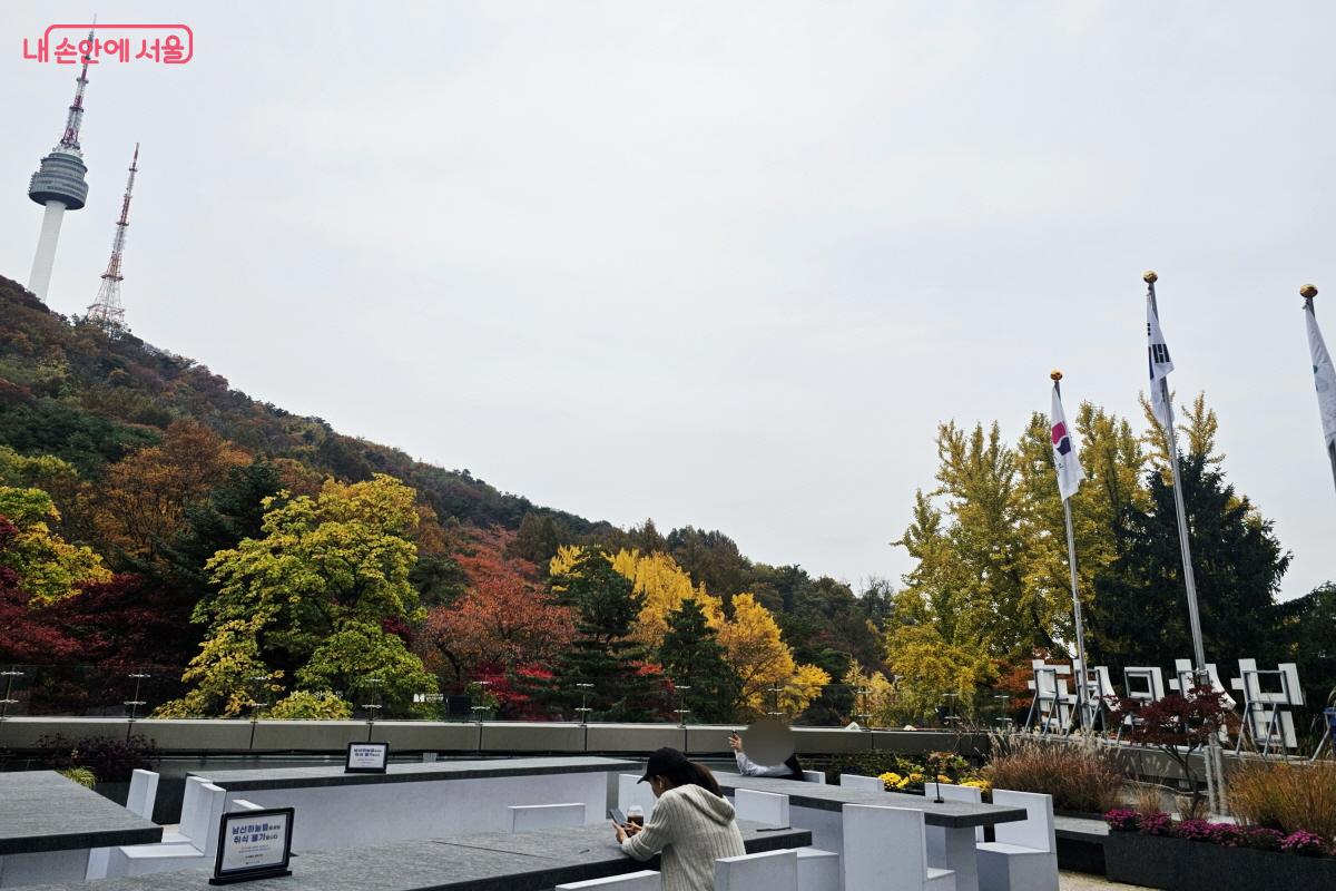 남산하늘뜰에선 남산을 물들인 단풍이 한눈에 펼쳐져 더욱 멋진 풍경을 만들어냈다. ⓒ염지연