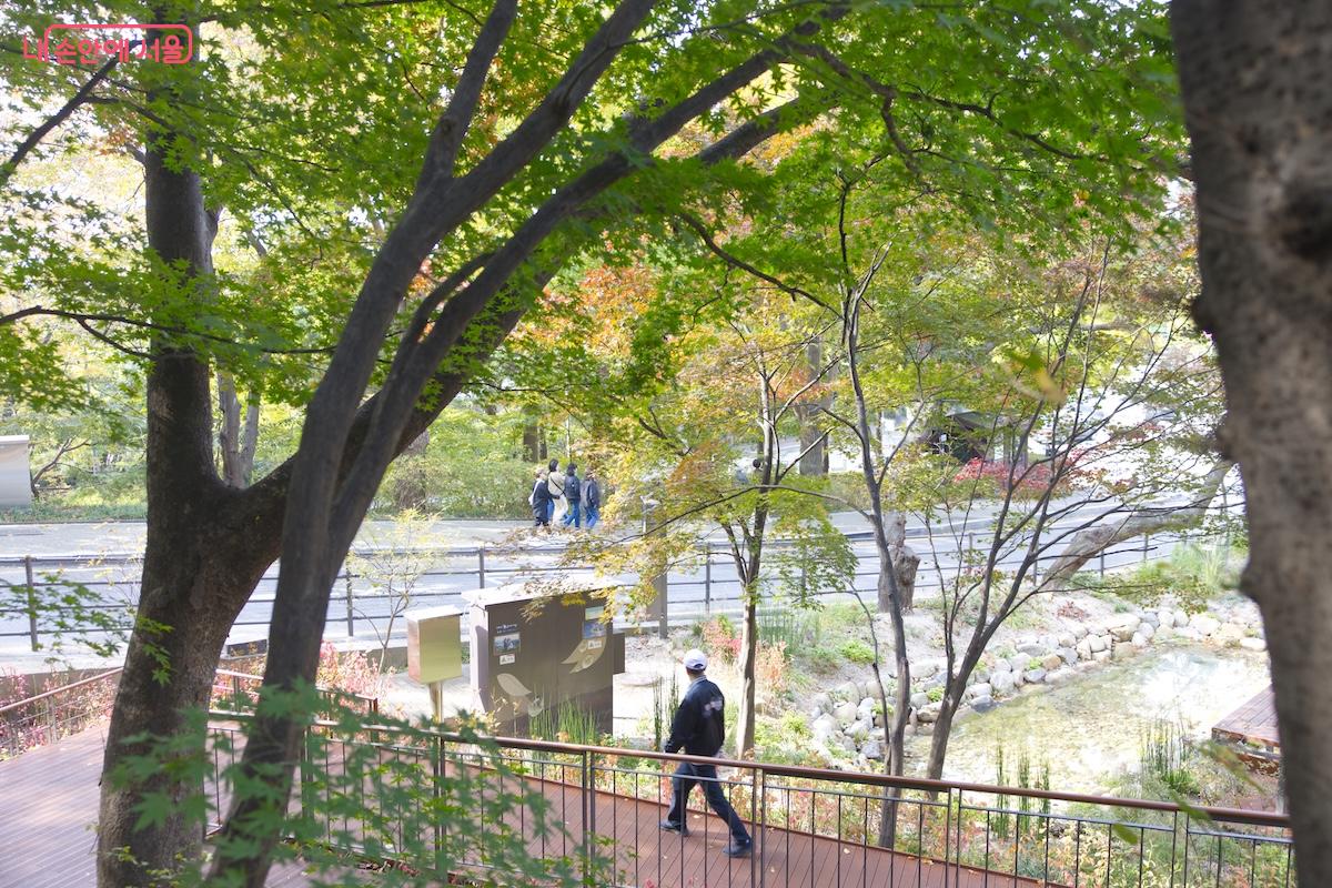 10월 말부터 11월에 이르기까지 걷기 좋은 완연한 가을날씨와 어울리는 모습이다. &copy;임중빈