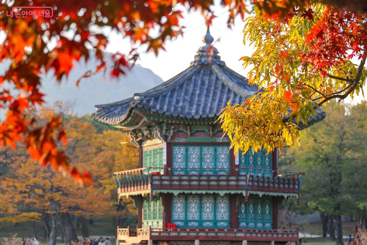 육각 2층 정자 건물 향원정이 단풍과 노을에 물들고 있다. ©박성환