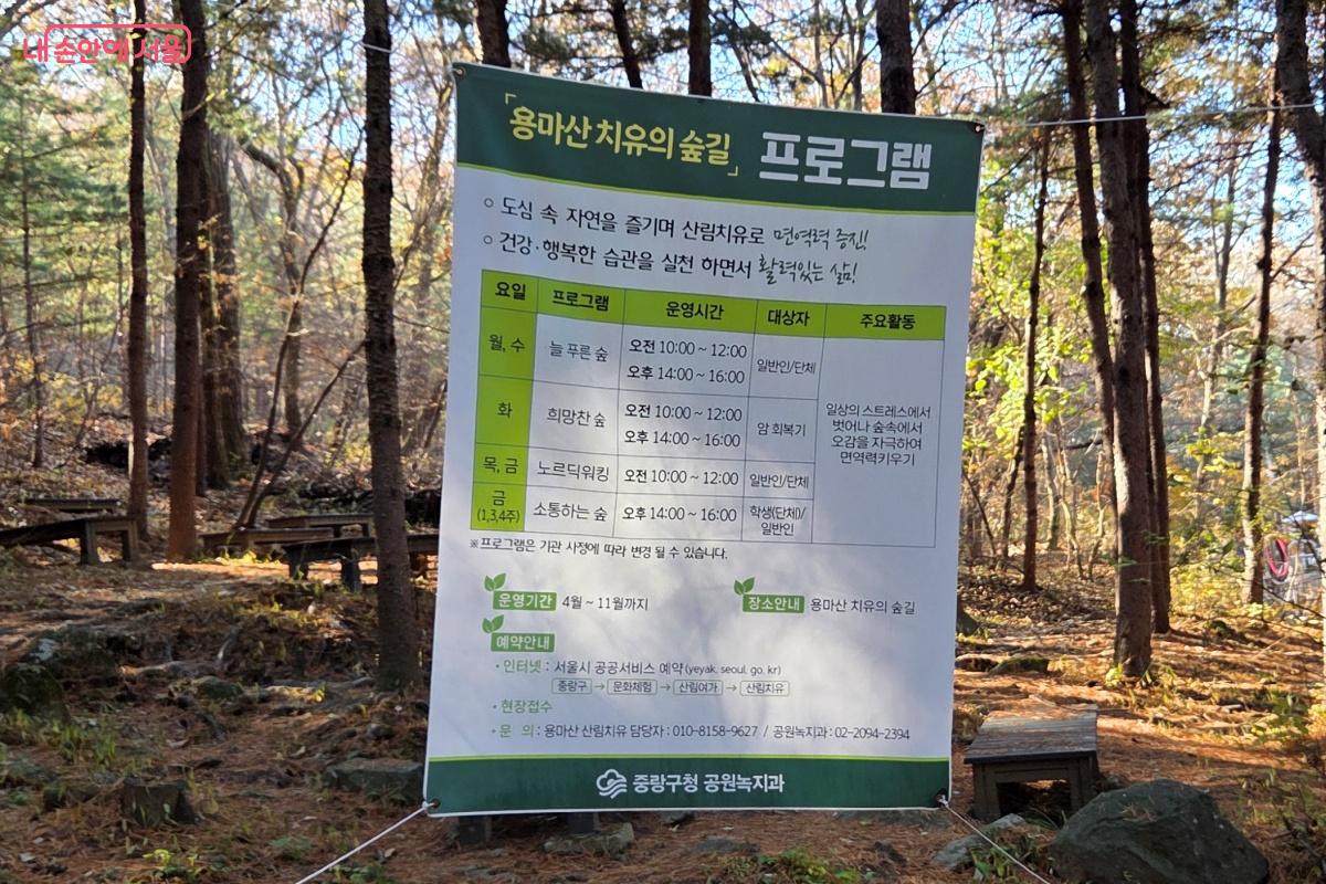 늘푸른 숲, 희망찬 숲, 노르딕워킹, 소통하는 숲 등 산림치유 프로그램이 운영된다. ©김미선