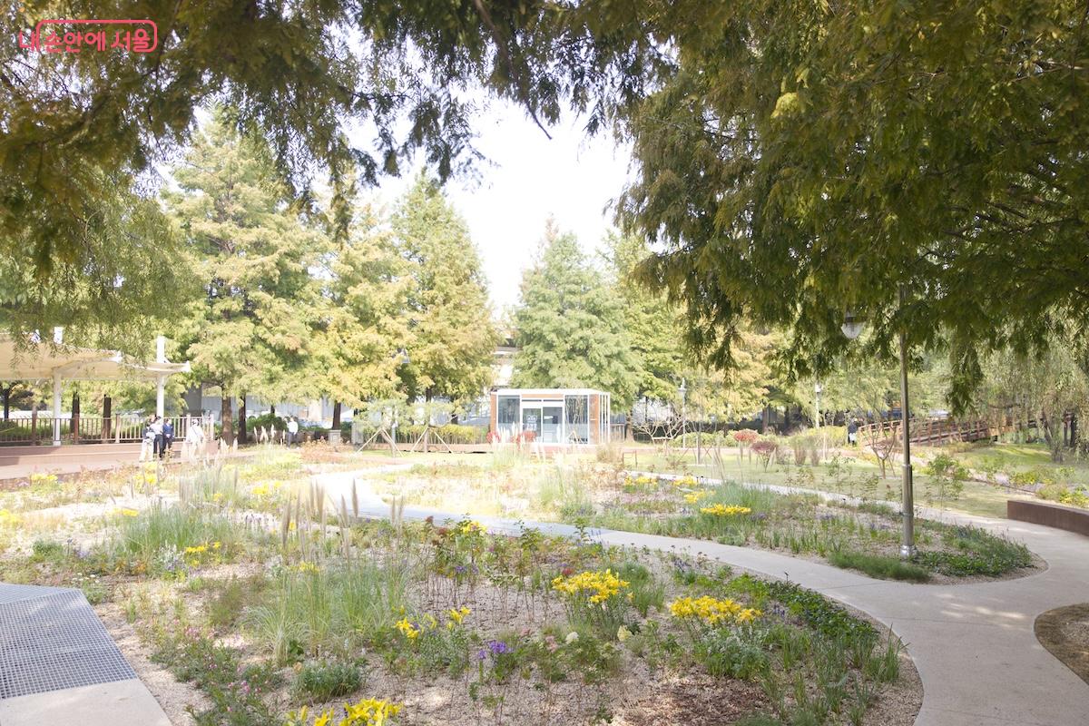 10월 말에는 '양평유수지 생태공원 정비사업'이 완료되었다. ©임중빈