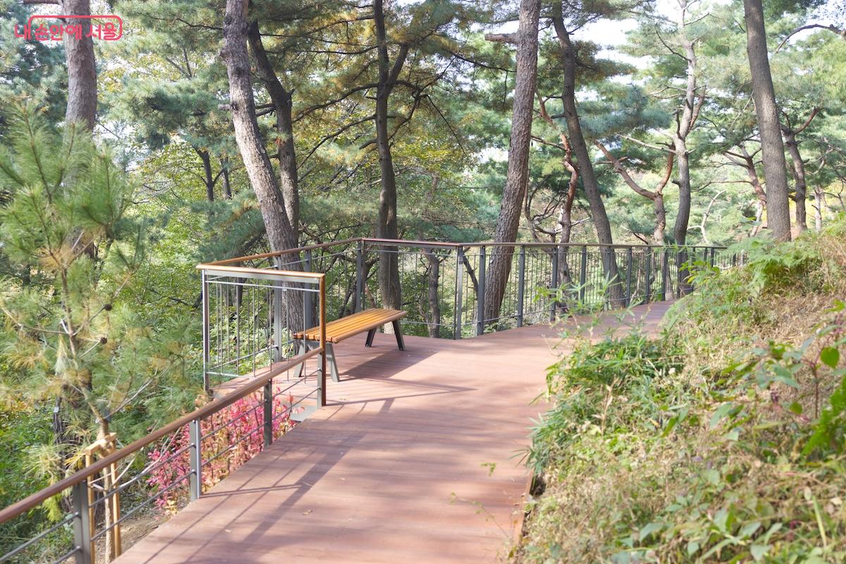 다른 샛길 등은 폐쇄하고 또 자연스럽게 남산에서 채취한 어린 종자 소나무를 심어 생태계도 복원하고 있다. &copy;임중빈