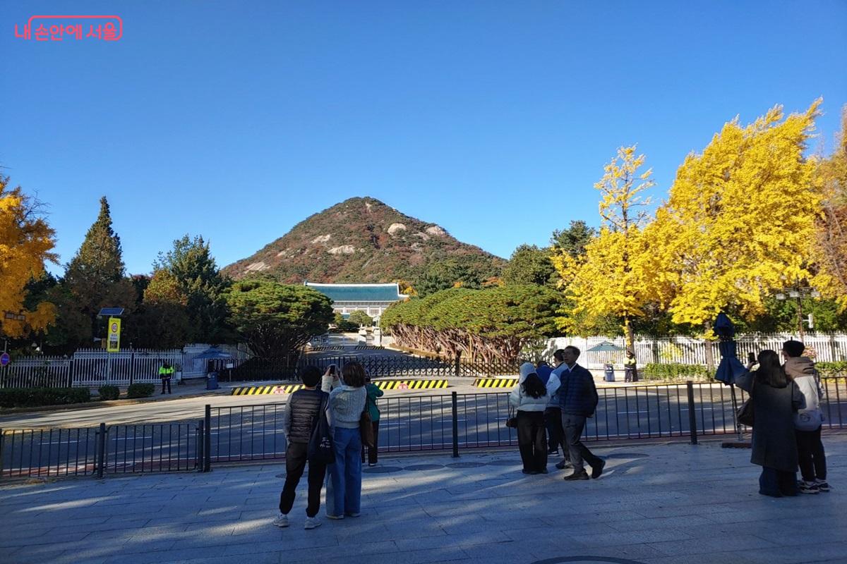 울긋불긋 가을로 물든 북악산을 배경으로 한 청와대 주변 풍경 ©김병규
