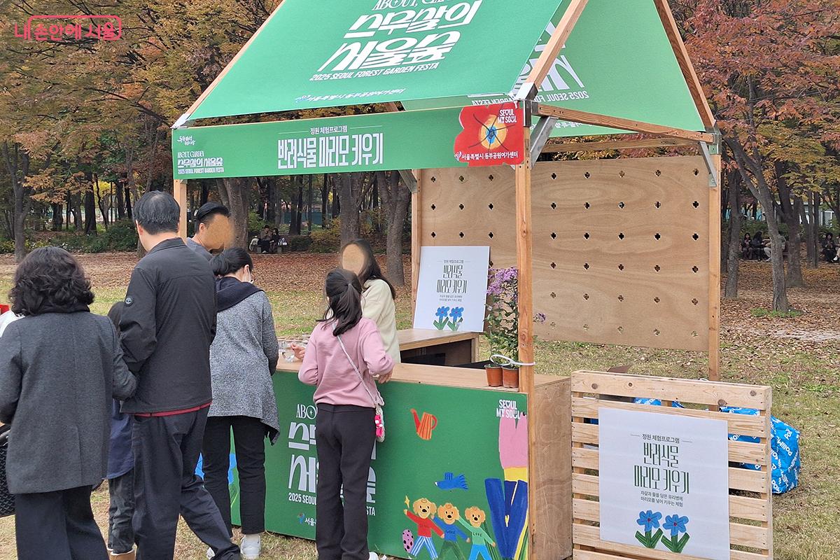 일본 홋카이도 아칸호에 서식하는 담수성 녹조류, 마리모 ©이혜숙