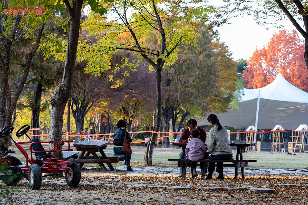 서울숲 가족마당에서 가족 단위 방문객들이 늦가을 정취 속 여유로운 시간을 보내고 있다. &copy;문청야
