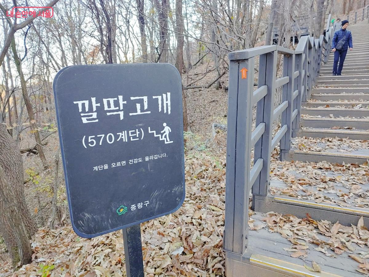 경사가 가파른 용마산 570계단 깔딱고개 ©김병규