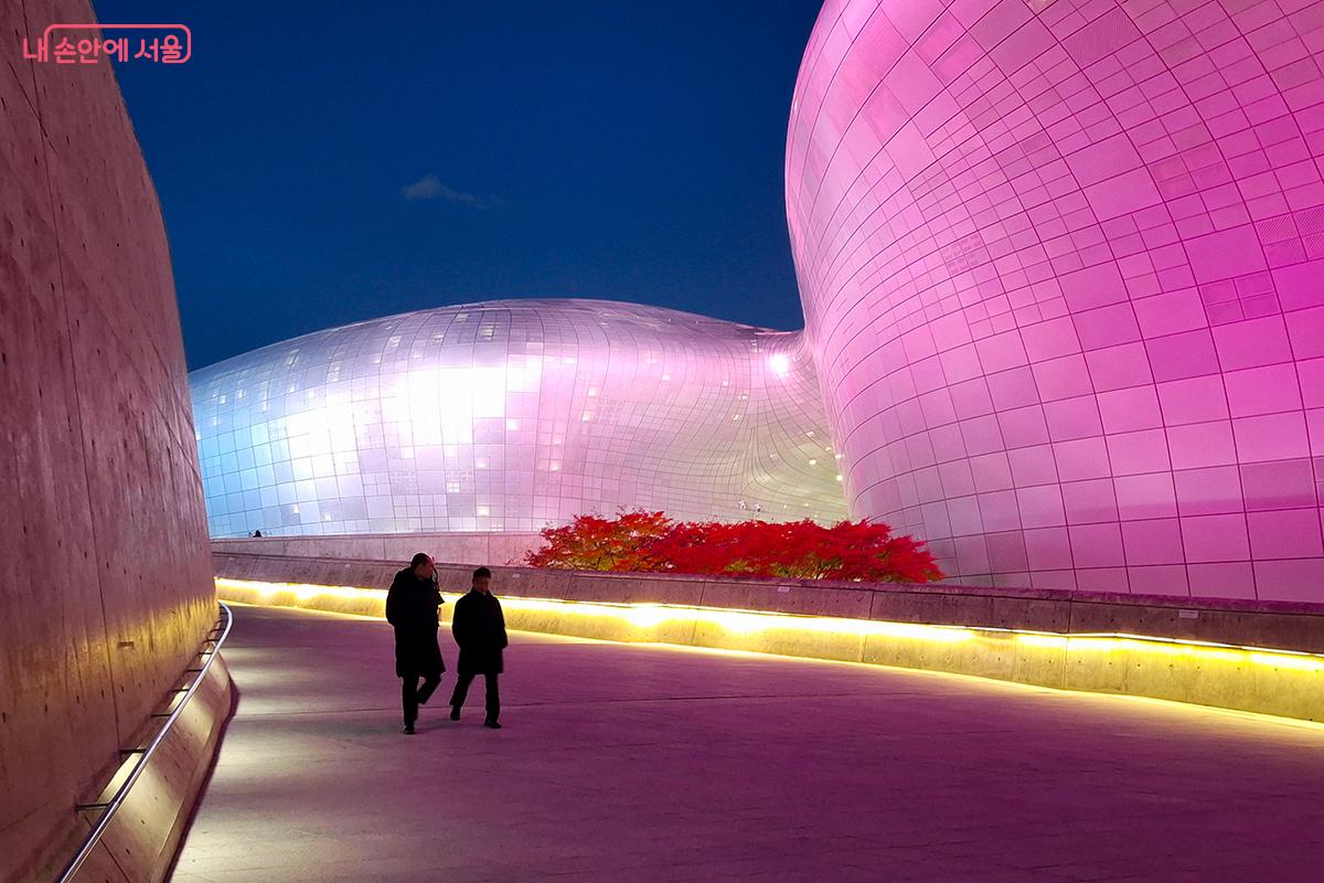 빛의 결이 흐르는 DDP 산책로에서, 도시는 밤이 될수록 더욱 아름다워졌다. ©이혜숙