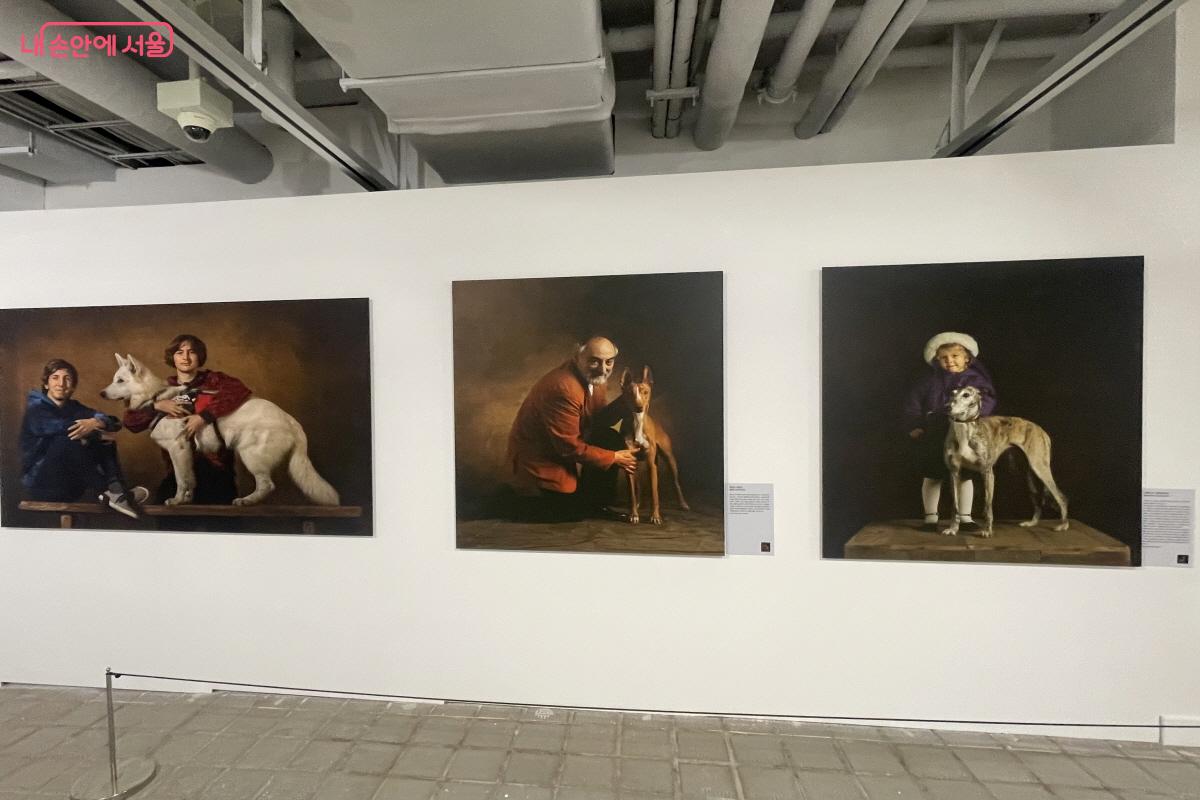 사람과 교감하는 반려견의 모습을 담은 ‘동물들의 우주’ 섹션 ©이정민
