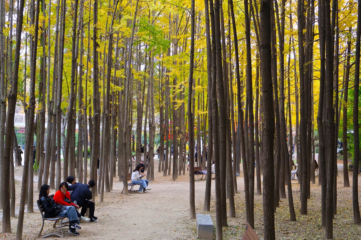 서울의 여백을 선물한 '스무 살의 서울숲'을 거닐다