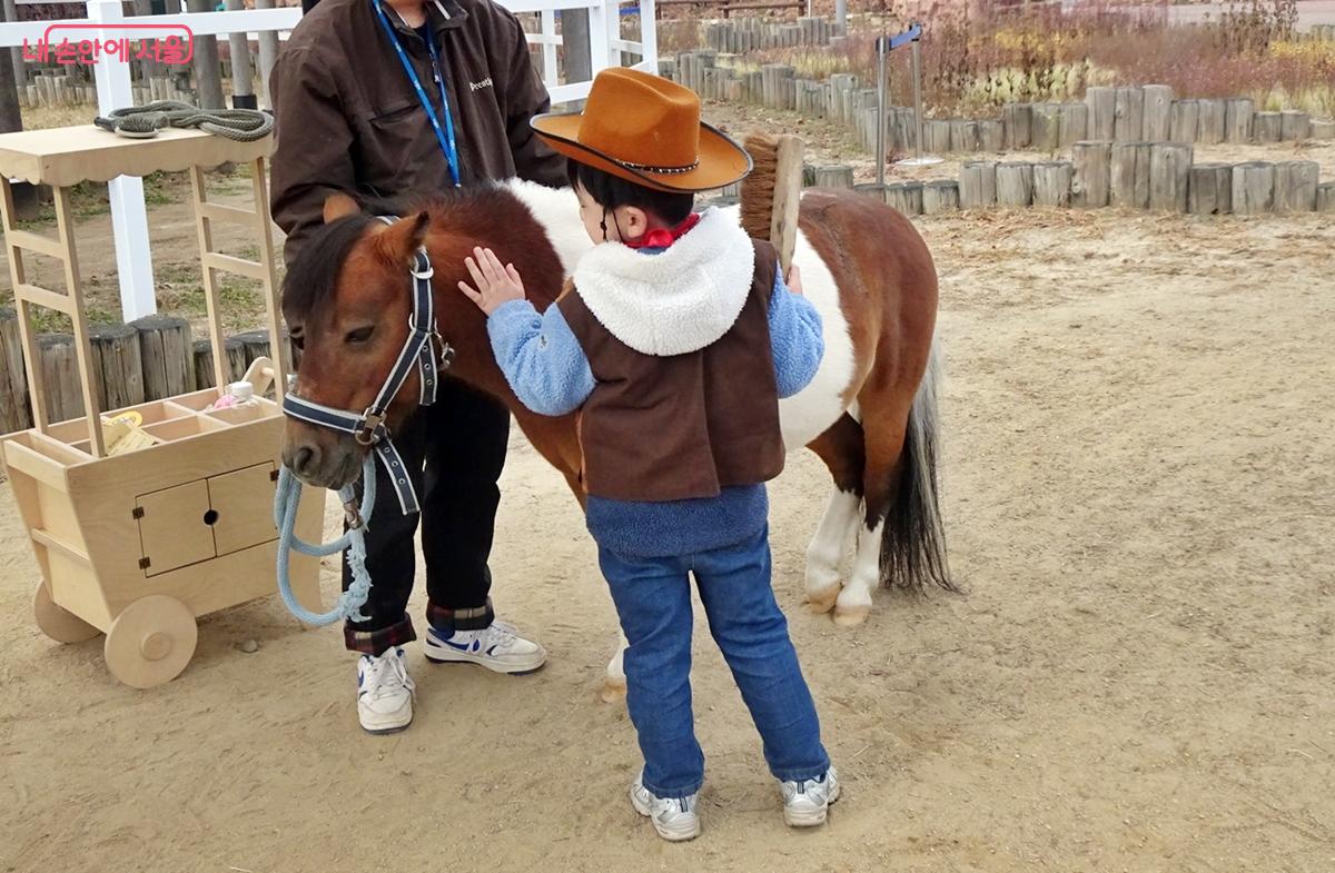 어른도 참가할 수 있는 '포니랑 놀기' 체험 &copy;김종성 