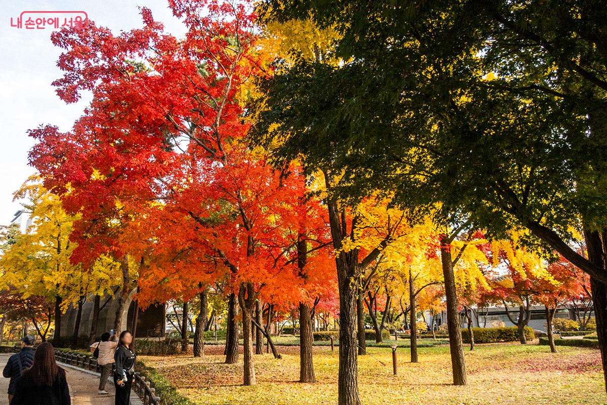 오색 단풍으로 물든 자리에서 기념 사진을 찍는 사람들 &copy;이진형