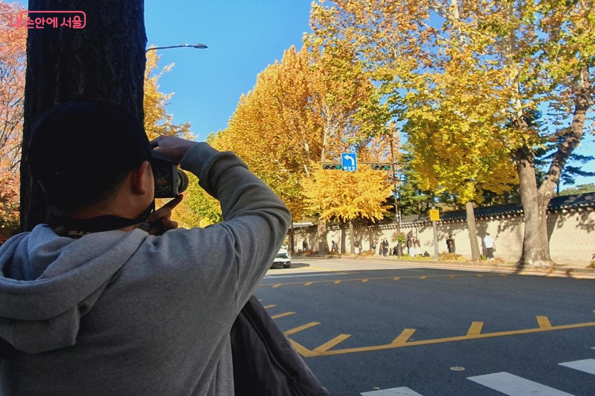 효자로 버즘나무와 은행나무 가로수를 배경으로 사진을 담고 있다. ©김병규