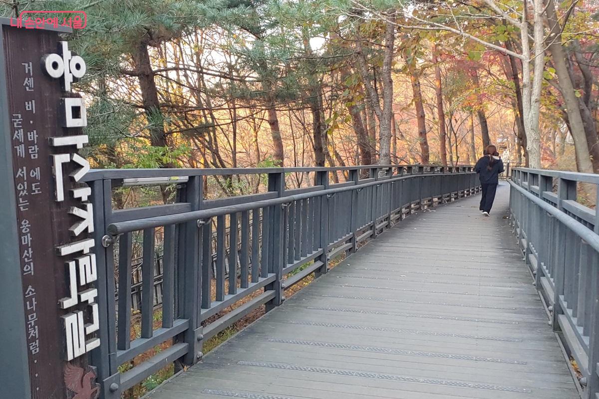 용마산 스카이워크 산책로와 연결되는 용마산자락길 ©김병규