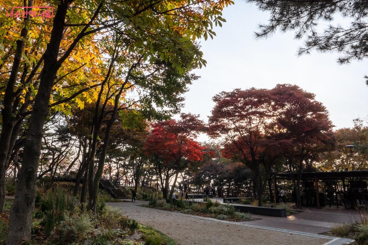 남산 하늘숲길 건강정원의 모습 &copy;이진형