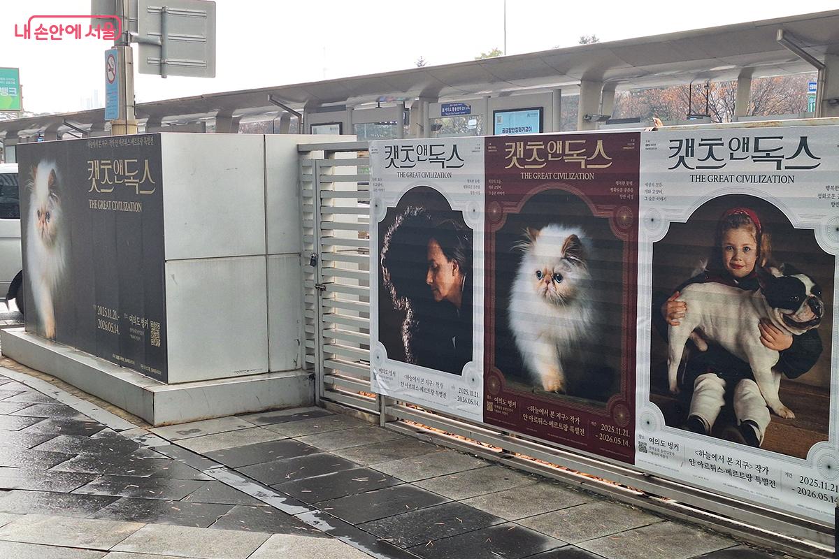 여의도 지하벙커서 사진작가 얀 아르튀스-베르트랑의 사진·영상 전시 <캣츠 앤 독스> 개최 ©이혜숙