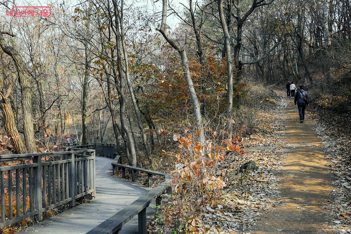 데크길과 사색의 길로 갈라지지만 이내 합류하므로 선호하는 길을 선택하면 된다. ©김아름