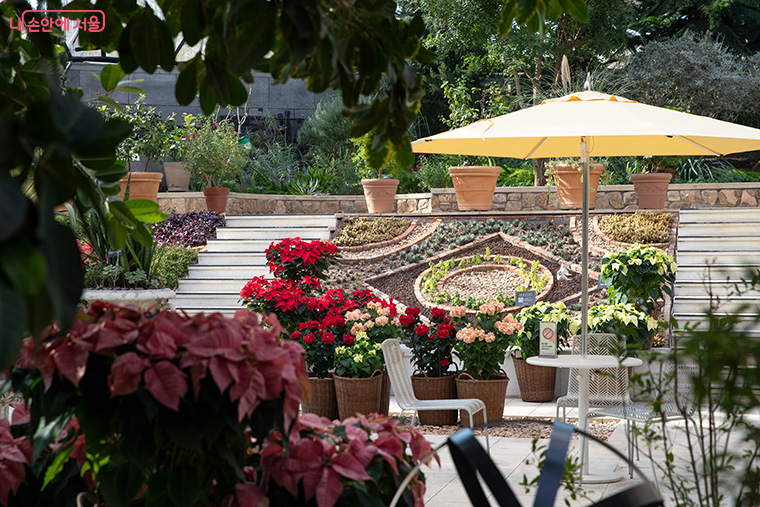 서울식물원 &lsquo;윈터가든&rsquo; 