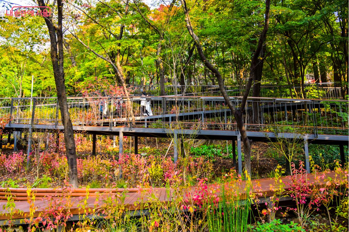 남산 하늘숲길 입구에 펼쳐진 무장애 데크길 &copy;최기곤