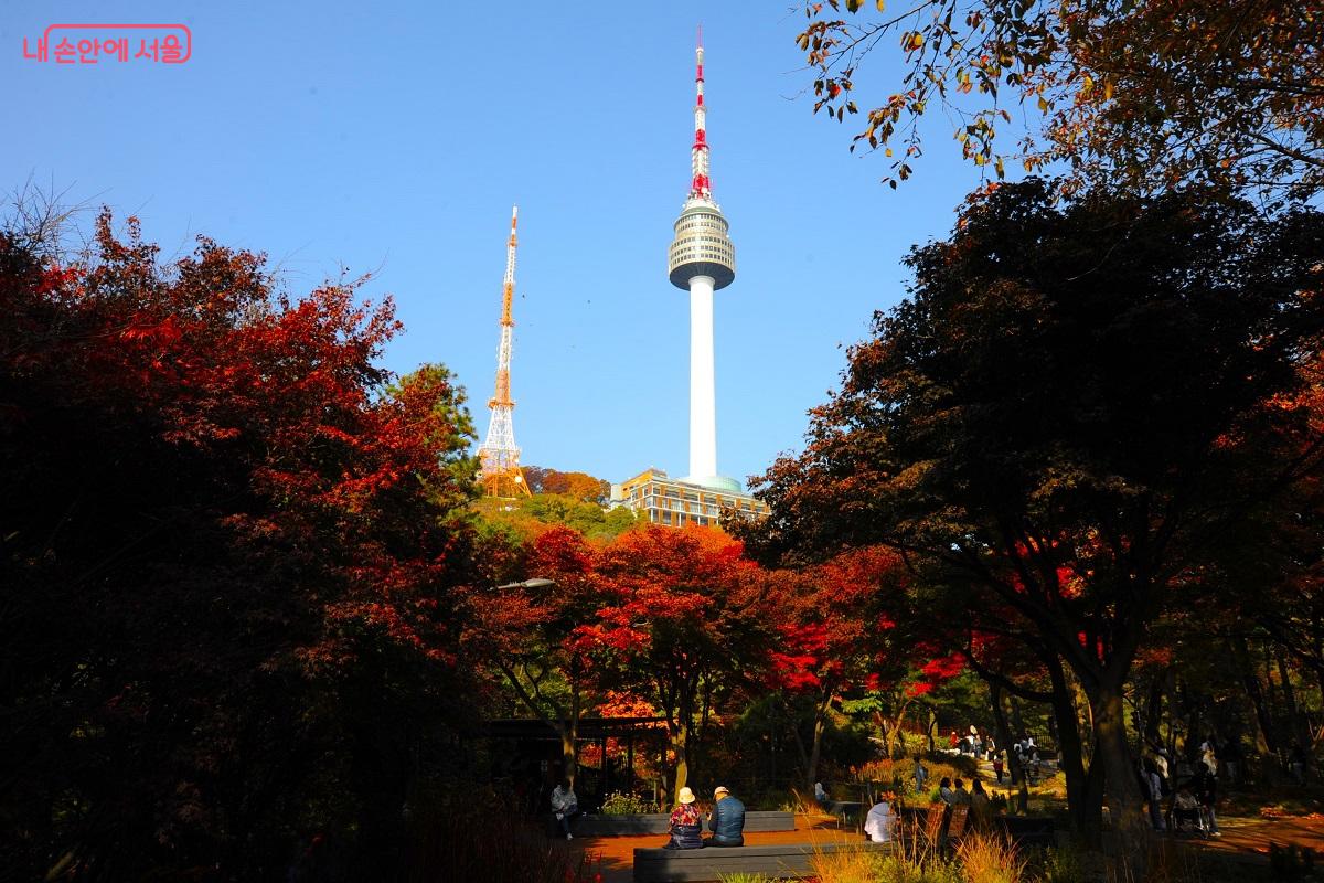 ‘건강정원’에서 N서울타워가 보이는 곳은 대표적 포토존이다. ⓒ조수봉