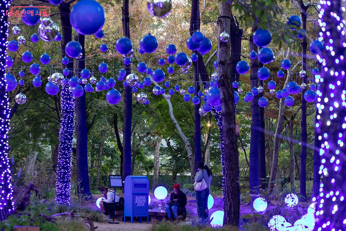 서울숲 광야숲에서 팬들이 수퍼 주니어(SUPER JUNIOR) 데뷔 20주년을 기념하며 엽서를 작성하고 있다. 빛과 메시지가 어우러진 숲속에서 축하의 마음이 반짝인다. ©문청야