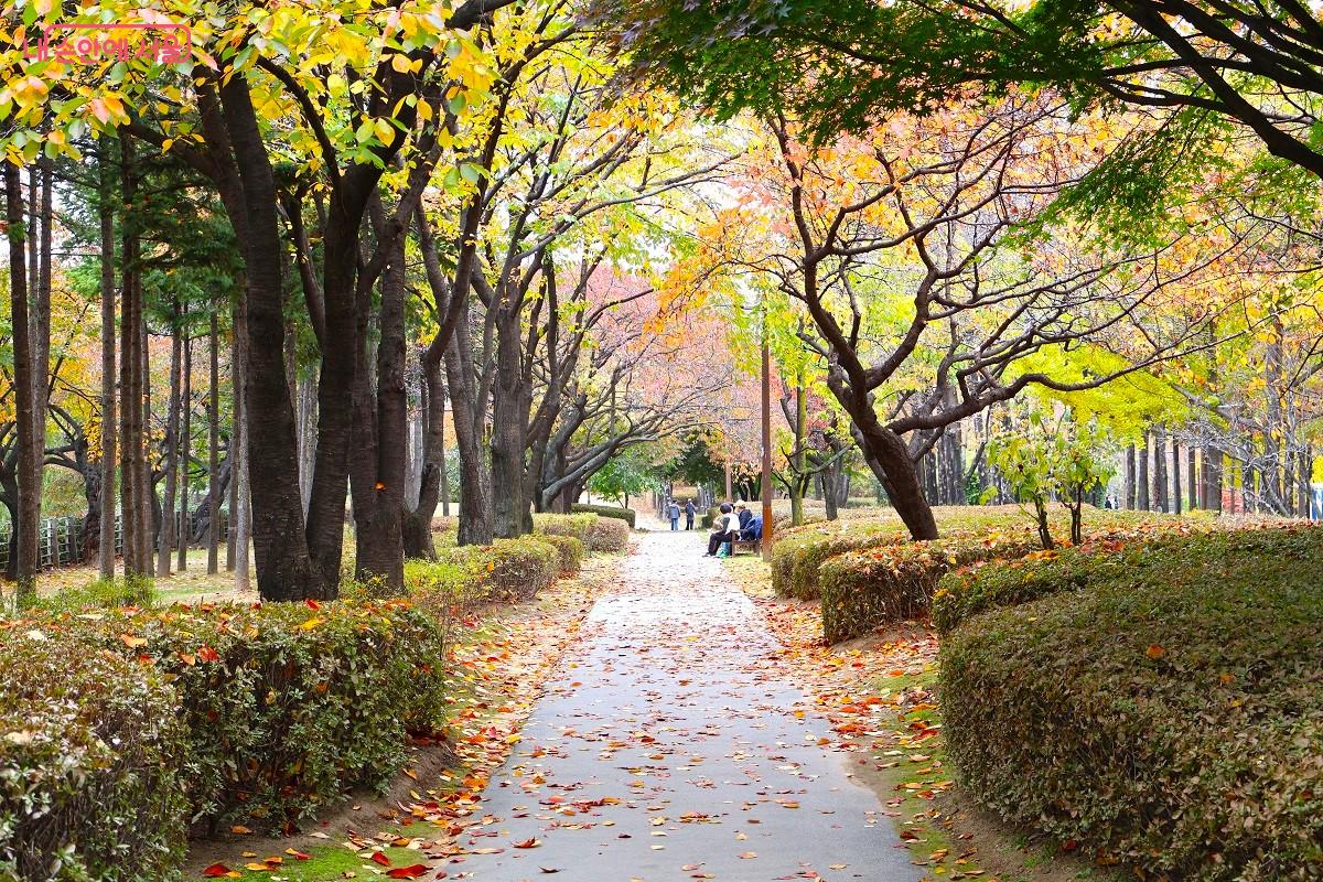 벤취에 앉아서 도란도란 이야기를 나누고 있는 시민들 &copy;이봉덕