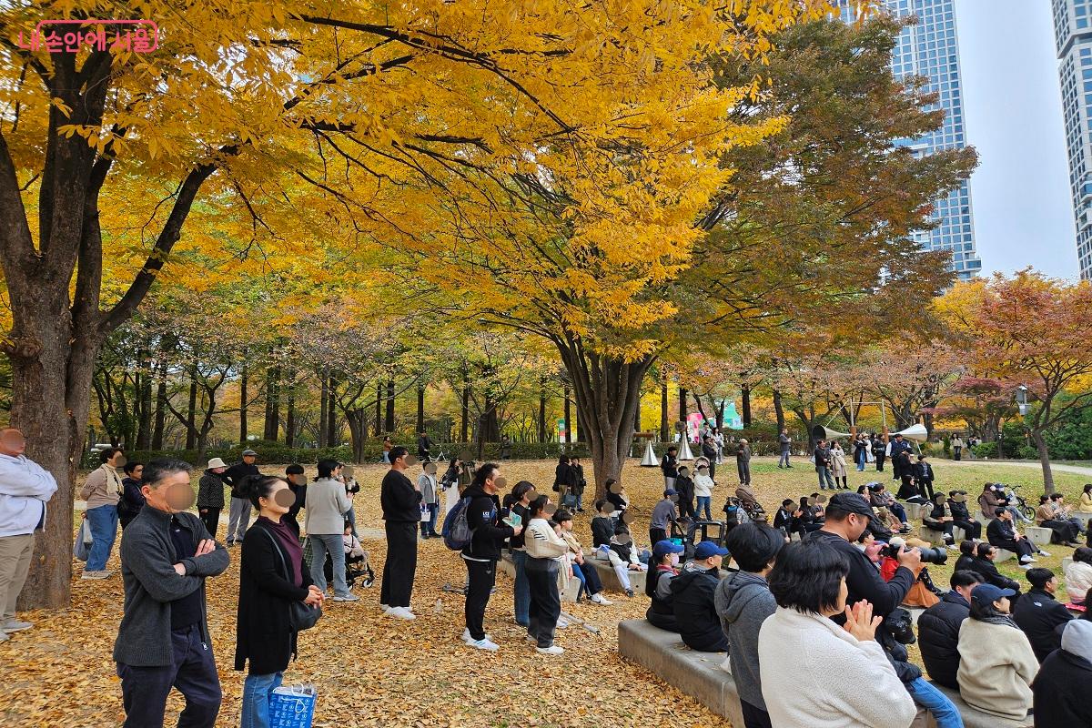시민들이 은행나무 아래에서 문화 공연을 감상 중이다. &copy;김진호