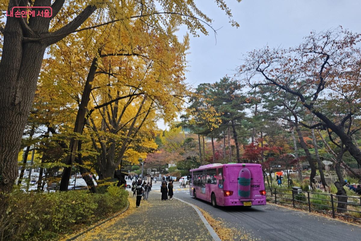 내려갈때에는 귀여운 해치버스를 타고 갈 수 있다 ⓒ염지연